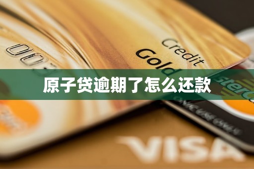原子贷逾期了怎么还款