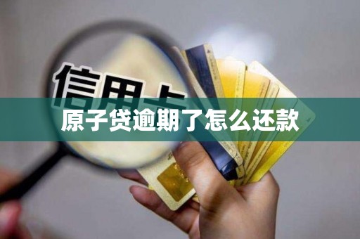 原子贷逾期了怎么还款