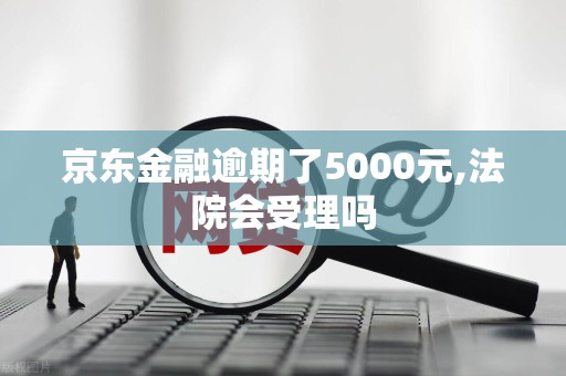 京东金融逾期了5000元,法院会受理吗