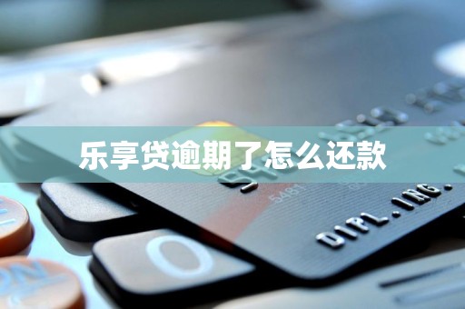 乐享贷逾期了怎么还款