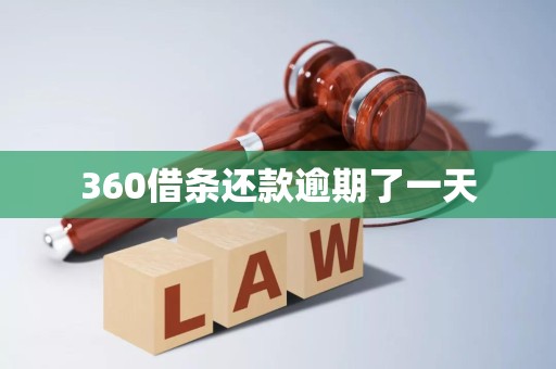 360借条还款逾期了一天