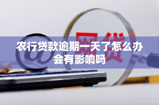 农行贷款逾期一天了怎么办会有影响吗