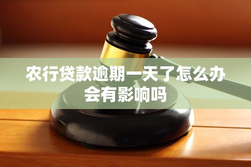 农行贷款逾期一天了怎么办会有影响吗