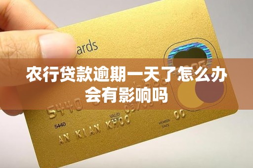 农行贷款逾期一天了怎么办会有影响吗