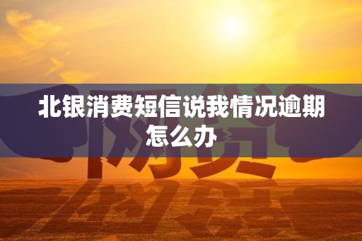 北银消费短信说我情况逾期怎么办