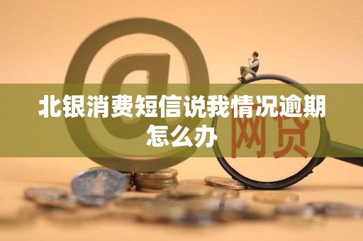 北银消费短信说我情况逾期怎么办