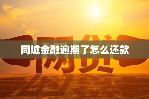 同城金融逾期了怎么还款