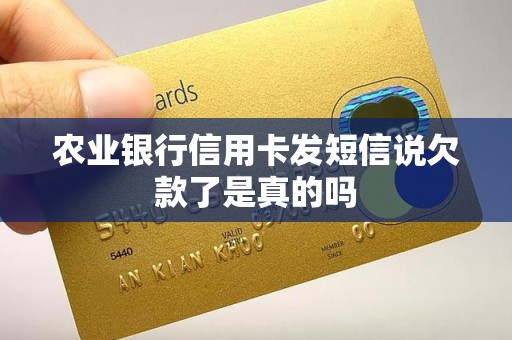 农业银行信用卡发短信说欠款了是真的吗