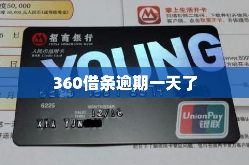 360借条逾期一天了