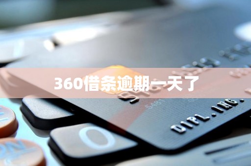 360借条逾期一天了