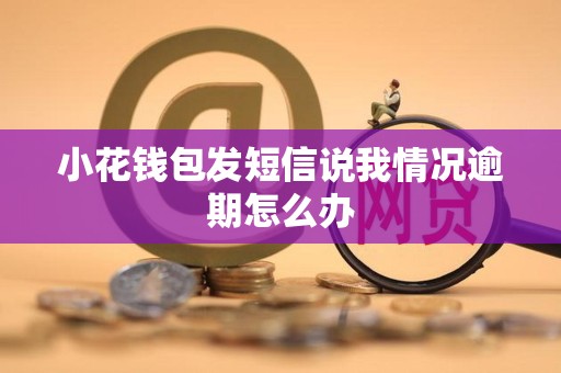 小花钱包发短信说我情况逾期怎么办