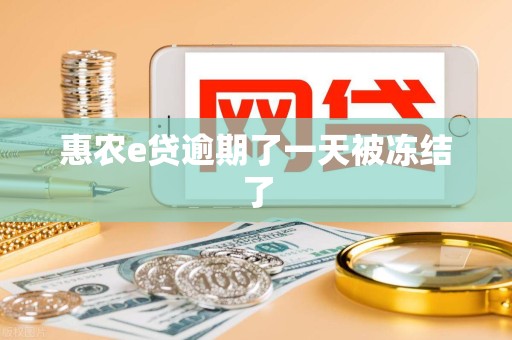 惠农e贷逾期了一天被冻结了