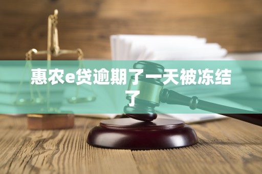 惠农e贷逾期了一天被冻结了