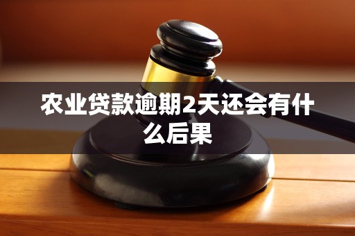 农业贷款逾期2天还会有什么后果