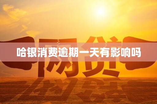 哈银消费逾期一天有影响吗
