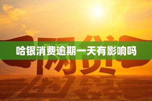 哈银消费逾期一天有影响吗