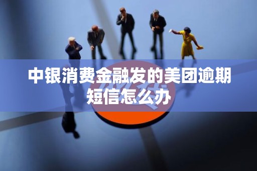 中银消费金融发的美团逾期短信怎么办