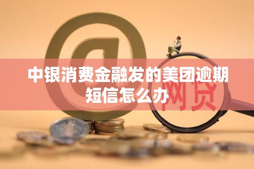 中银消费金融发的美团逾期短信怎么办