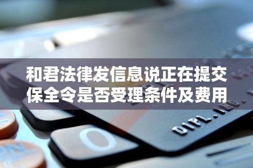 和君法律发信息说正在提交保全令是否受理条件及费用