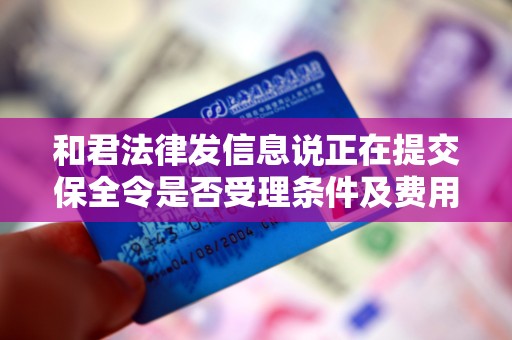 和君法律发信息说正在提交保全令是否受理条件及费用