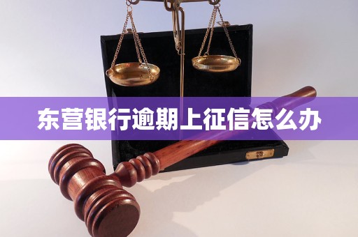 东营银行逾期上征信怎么办