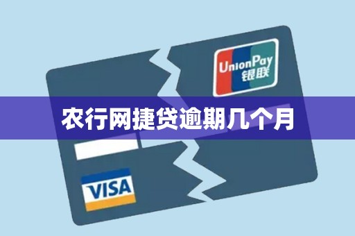 农行网捷贷逾期几个月