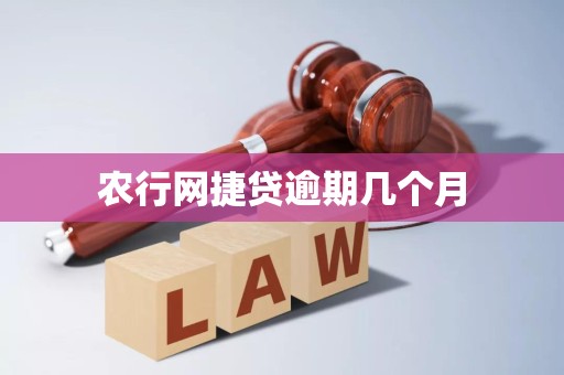 农行网捷贷逾期几个月