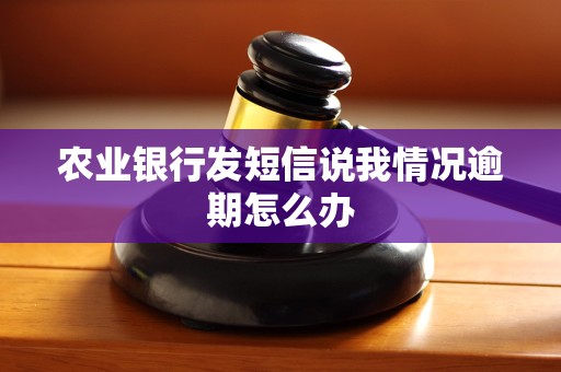 农业银行发短信说我情况逾期怎么办