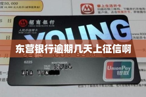 东营银行逾期几天上征信啊