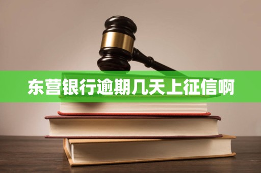 东营银行逾期几天上征信啊