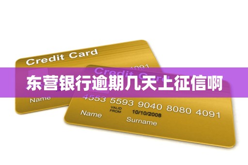 东营银行逾期几天上征信啊