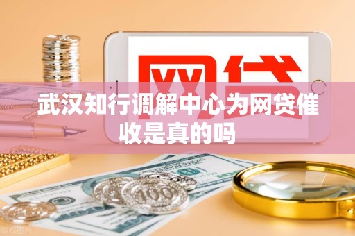 武汉知行调解中心为网贷催收是真的吗