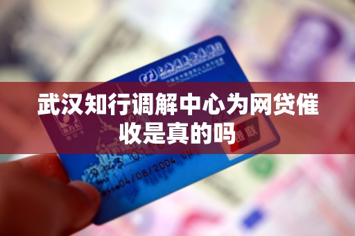 武汉知行调解中心为网贷催收是真的吗