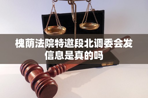 槐荫法院特邀段北调委会发信息是真的吗