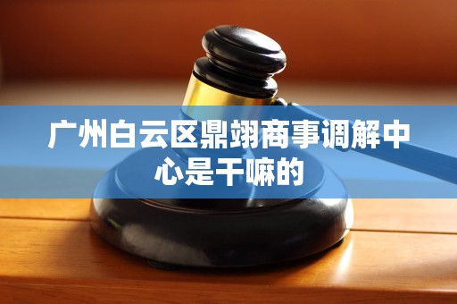 广州白云区鼎翊商事调解中心是干嘛的