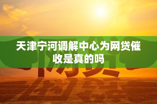 天津宁河调解中心为网贷催收是真的吗