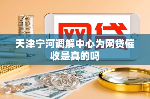 天津宁河调解中心为网贷催收是真的吗