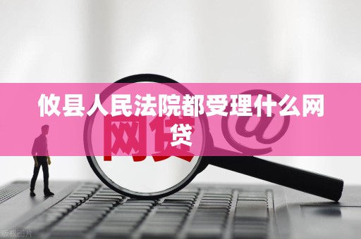 攸县人民法院都受理什么网贷
