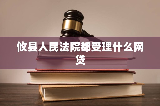 攸县人民法院都受理什么网贷