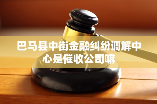 巴马县中街金融纠纷调解中心是催收公司嘛