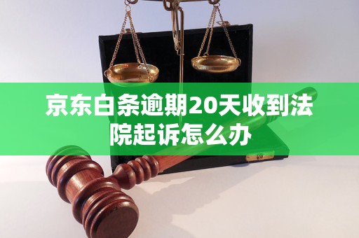 京东白条逾期20天收到法院起诉怎么办 京东白条逾期20天收到法院起诉怎么办