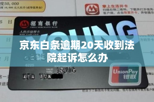 京东白条逾期20天收到法院起诉怎么办 京东白条逾期20天收到法院起诉怎么办