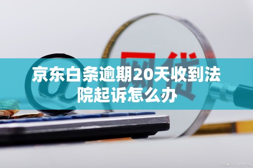 京东白条逾期20天收到法院起诉怎么办 京东白条逾期20天收到法院起诉怎么办