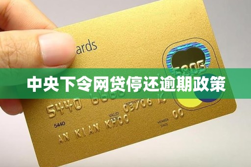 中央下令网贷停还逾期政策