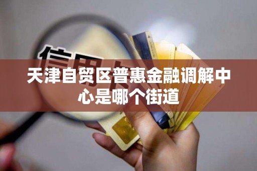 天津自贸区普惠金融调解中心是哪个街道