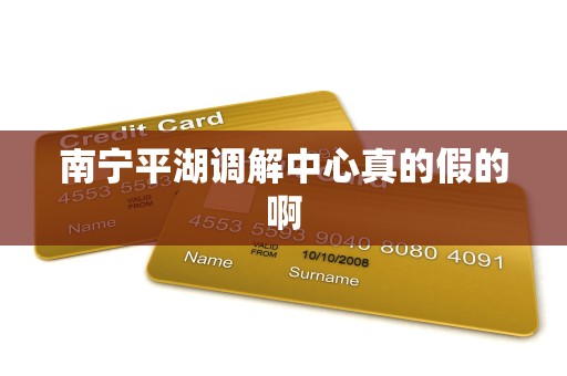 南宁平湖调解中心真的假的啊