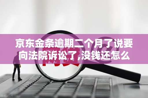 京东金条逾期二个月了说要向法院诉讼了,没钱还怎么办 京东金条逾期二个月了说要向法院诉讼了,没钱还怎么办