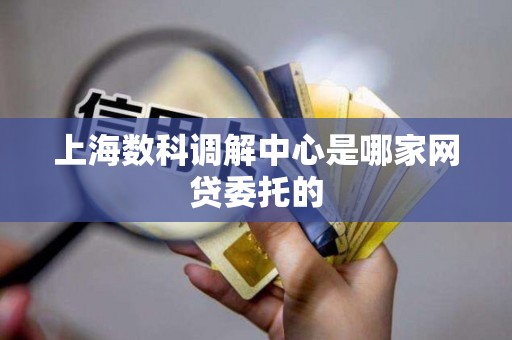 上海数科调解中心是哪家网贷委托的 上海数科调解中心是哪家网贷委托的