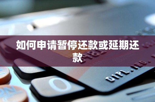 如何申请暂停还款或延期还款