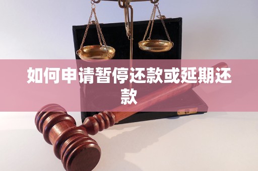 如何申请暂停还款或延期还款